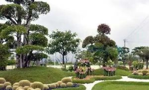 昆山綠化公司解析園林綠化工程是什么？