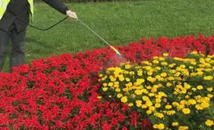 昆山工廠綠化養護淺談工廠綠化的特殊意義！